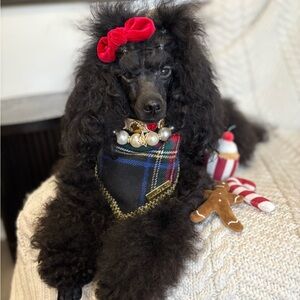 Maggie & Co. Midnight Magic🌠 Holiday Collection Plaid Dog Bandana and Bow, Small